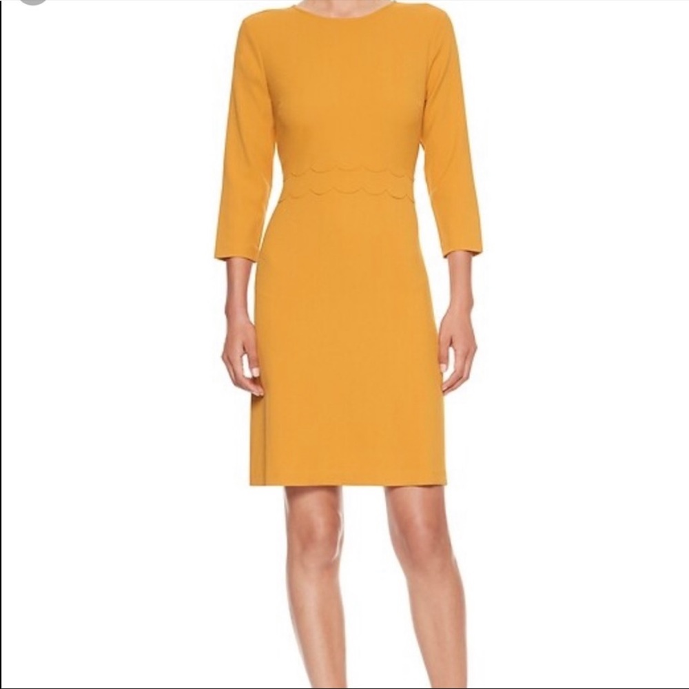 Banana Republic Scallop Waist Fit and Flare Dress